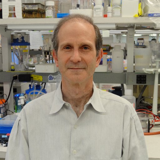 Harris Bernstein Profile