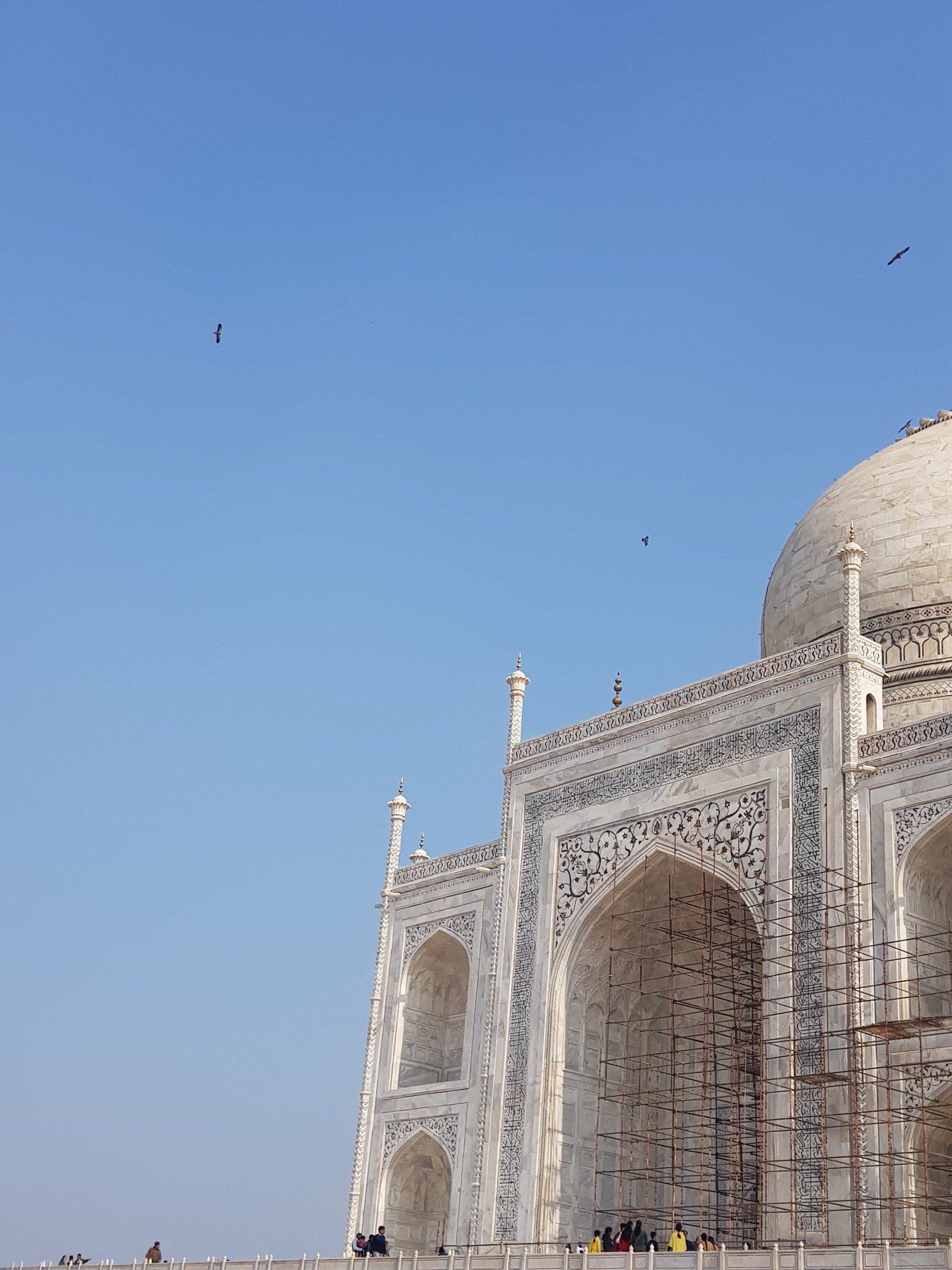 0Kd1Tx3hmkN0xRF's profile picture. 