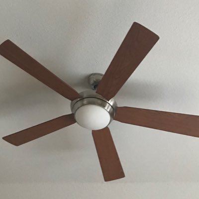 zuzu_zantow's profile picture. 