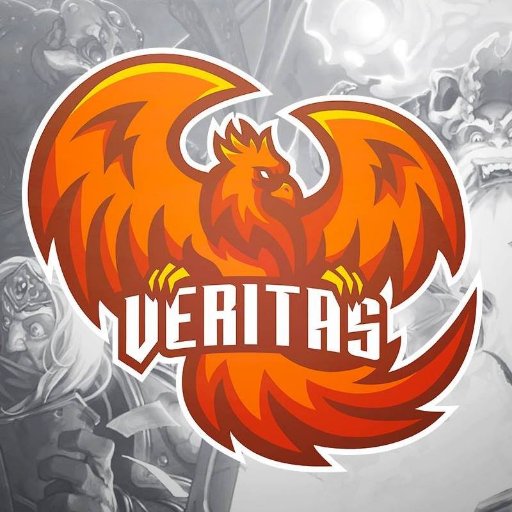 Professional eSports Organization /
Business Inquiries: info@veritas.gg