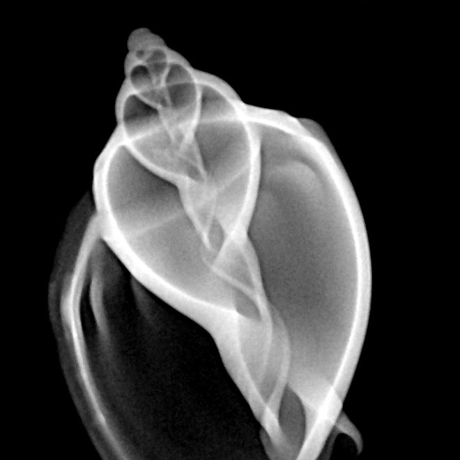 CookeWJ1's profile picture. If you like a post, retweet it.