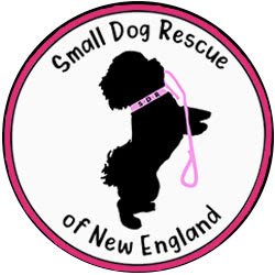 small dog rescue ne