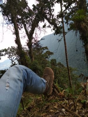 Ramiro74250158's profile picture. 