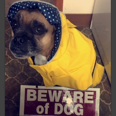 JugDawg's profile picture. Gamer and small streamer. Come hangout when I'm live at https://t.co/aekF0J72fP