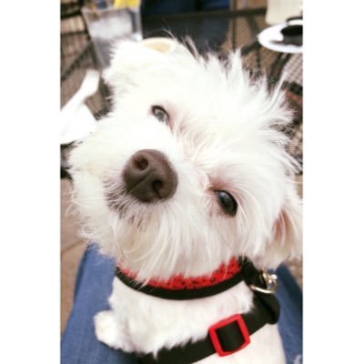 marucelya's profile picture. 