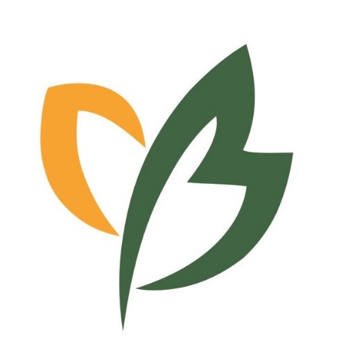 ALIORGANIC has been focusing on the cultivation and research of organic jujube, with 500 acre base and is one of the best partners for the global jujube series.