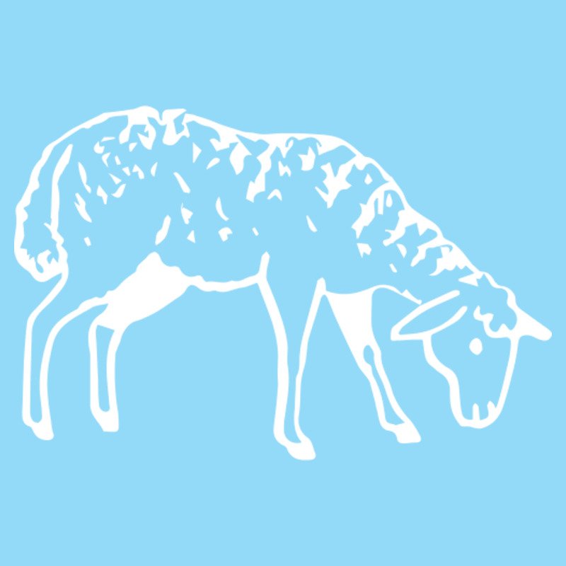 EweisKind's profile picture. Home of "forever wool." Striving to bring ethical and eco-friendly yarns to conscientious fiber lovers!🐑🐏🐐❤️🌱
insta: Eweiskindyarns