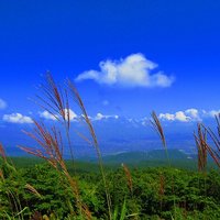 永遠の旅人 (@towa_tabibito) 's Twitter Profile Photo 永遠の旅人 (@towa_tabibito) 's Twitter Profile Photo