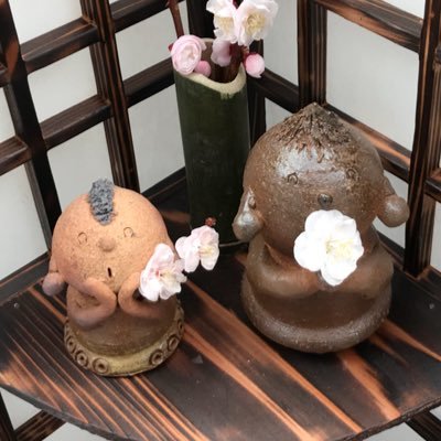 umekkho's profile picture. 使い方がまだよくわかりません(ㆀ˘･з･˘)