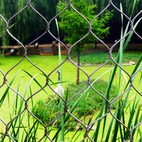 wire mesh04 (@mesh04wire) 's Twitter Profile
