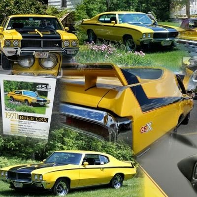 1970 #Buick #GSX #Matilda / #Akita #Dogs / #2A, @NRA Life Member, @GOALupdate Life Member, @GunOwners Life Member /
Live Long & Prosper 🖖