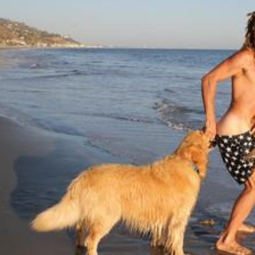 alohatomenow's profile picture. 