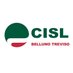 Cisl Belluno Treviso (@cislbltv) Twitter profile photo Cisl Belluno Treviso (@cislbltv) Twitter profile photo