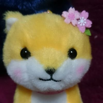 lovemickey108's profile picture. 歌（アカペラ）大好き。難しいことはわからないけど!!《BABY BOO》を知り《Permanent Fish》《KOBE BOYS》最近は《the XAVYELLS》《Sugar Style Spirit》のライブ、イベントに…