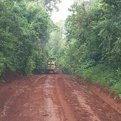 MisionesEnRed's profile picture. Desde lo más profundo de Misiones... Defendemos nuestra tierra y nuestra historia.