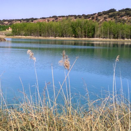 El Parque Natural de las Lagunas de Ruidera es un espacio natural protegido de Castilla-La Mancha, en las provincias de Albacete y Ciudad Real. 926 27 73 62