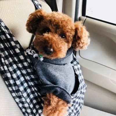 azot_61615's profile picture. かことん71st   ログアウトしてます