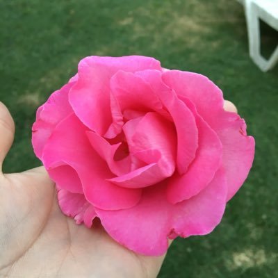 yoverob's profile picture. Soy así, al que no le guste que siga su camino.