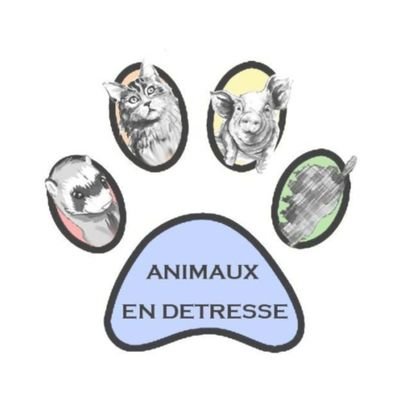 Asso Animaux en détresse de Corse