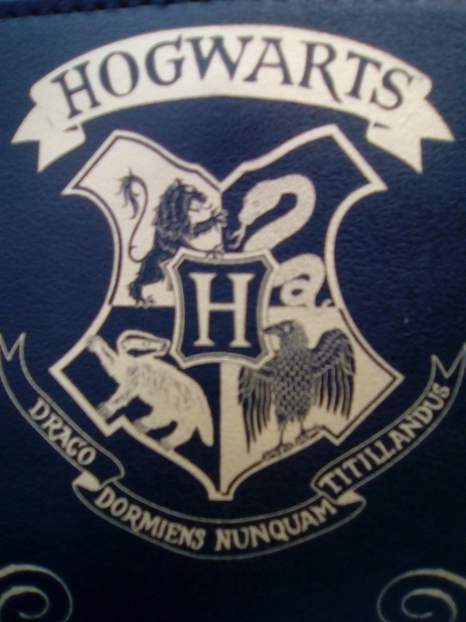 ⚡ACESSO INTERDITO A MUGGLES⚡
We are made by Hogwarts⚡💓
