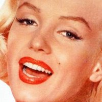 anne (@cat_impy) 's Twitter Profile