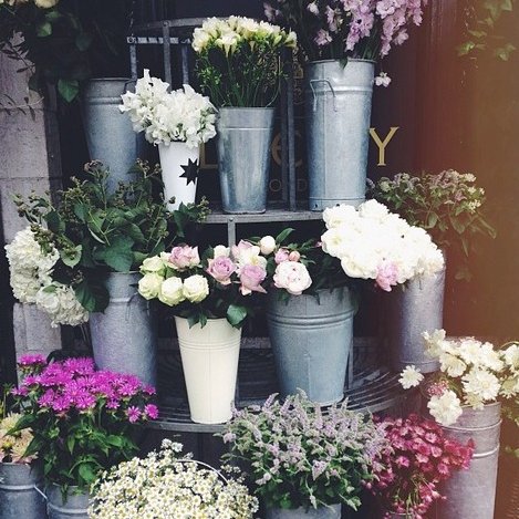 Maha_brik's profile picture. 