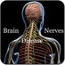 Brain and Nerves (@brainandnerves) Twitter profile photo Brain and Nerves (@brainandnerves) Twitter profile photo