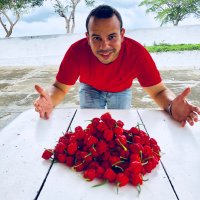 Victor França (@victorhugose) 's Twitter Profile