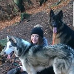 We are a family run, DBS checked, fully insured Dog walking & pet sitting business in & around Cannock Chase. If you love animals as much as we do-Hit follow 🐶