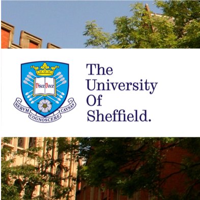 Variety in Chemistry Education / Physics Higher Education Conference 2018.
Taking place at the University of Sheffield, UK.