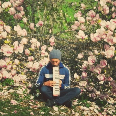 ValerioBelloni's profile picture. Semionauta