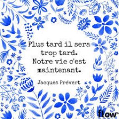 SandyStD's profile picture. .... toujours avec le sourire !