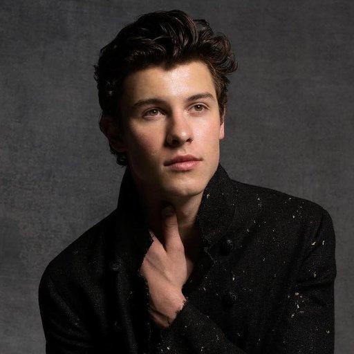 SM_lovelygirl's profile picture. A little too much obsessed with @ShawnMendes???? 《Bent but beautiful????》 Latina and proud ???? 《Sin sacrificios no hay éxito》