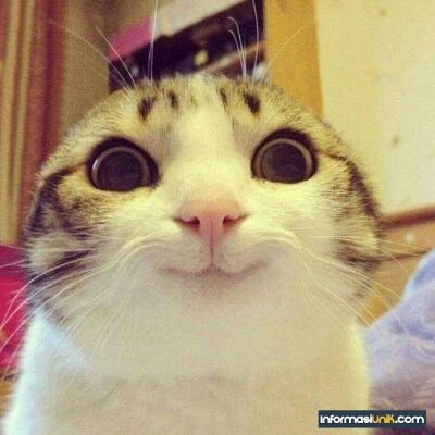 MrPerPer23's profile picture. yes no yes no