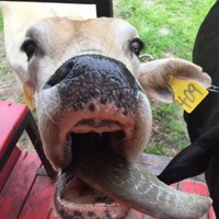 Urban Meets Agriculture (@urban_meets_ag) Twitter profile photo