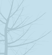 sarsprillt's profile picture. language learning & technology (SLA) || human centered design & social entrepreneurship || designing for change || ecosystems & emergence