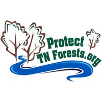 Protect TN Forests(@TN_Forests) 's Twitter Profile Photo