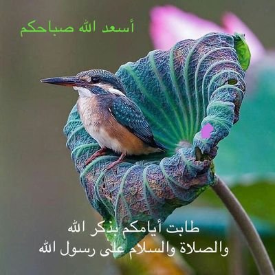 ODwxN2pVqRZqxhV's profile picture. 