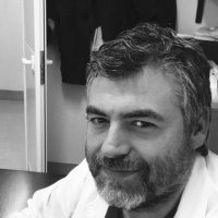 Daniele Torella (@danitore74) 's Twitter Profile