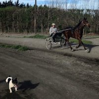 Matthew Peden (@mpedenracing) 's Twitter Profile