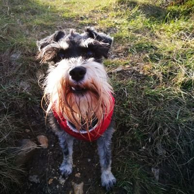 set4d's profile picture. Father to Charlotte & Joshua, husband to Caroline

Still not quite sure if I'm into Twitter or not.
