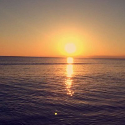 minotti_david's profile picture. 