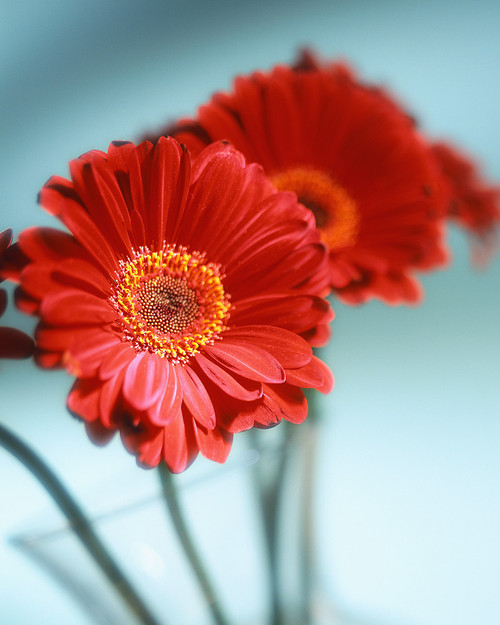 rebecca012's profile picture. 