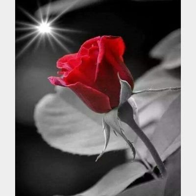 aalrQieFY9yGUA1's profile picture. 