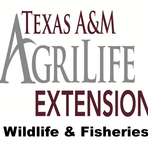 Wildlife and Fisheries unit of AgriLife Extension provides land managers and others research based information for wildlife and fisheries conservation.