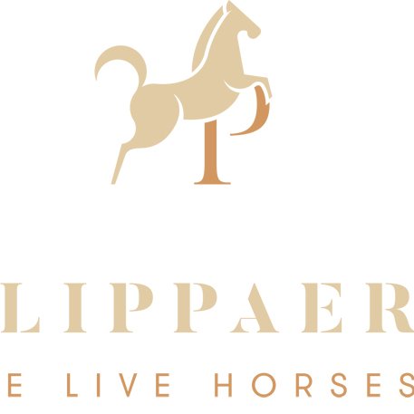 The Philippaerts Network combines the activities of Ludo, Olivier, Nicola, Thibault and Anthonay Philippaerts #WeLiveHorses