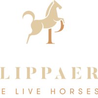 Philippaerts We Live Horses (@philippaertsnet) 's Twitter Profile