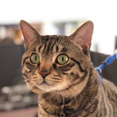 kandasystem's profile picture. 名古屋のワクワク面白い賃貸経営してる会社マジ面白いので冷やかしでも良いから見にきて！誰か住んで！