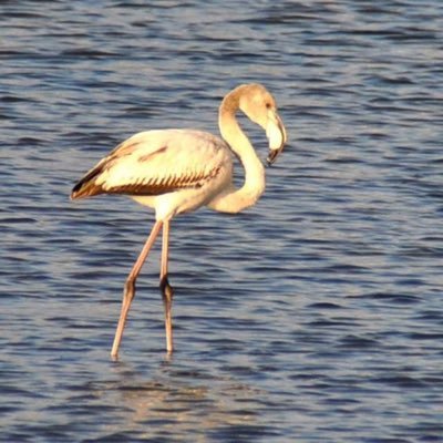 fotografibiza's profile picture. 