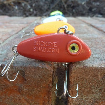 Buckeye Shad Fishing (@fishbuckeyeshad) / X